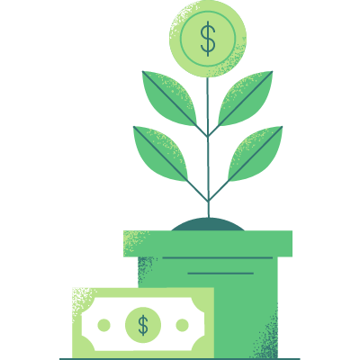 Money Plant Growing